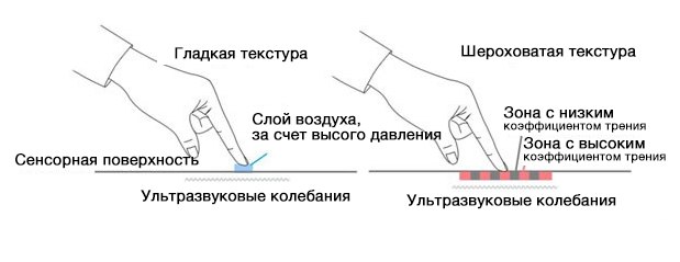 chmq1mn7p10.jpg